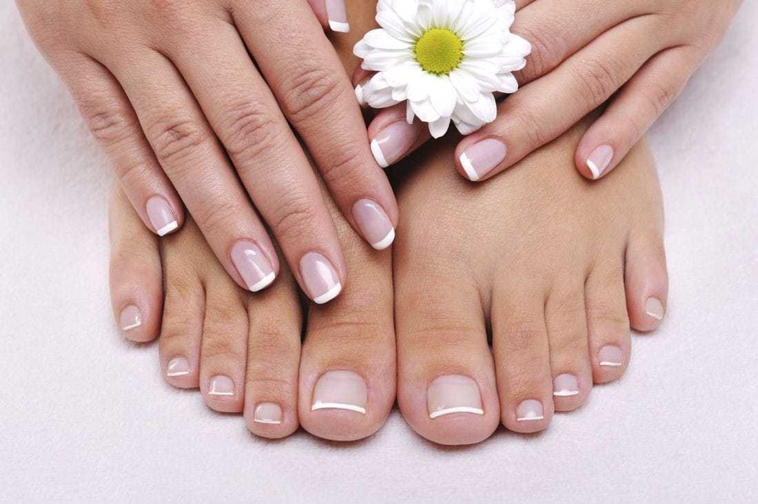 Manicured hands and pedicured feet with French tips, holding a white daisy on a white background.